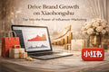 xiaohongshu-influencer-marketing-services-singapore-7